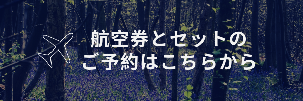 航空券とセットのご予約はこちら