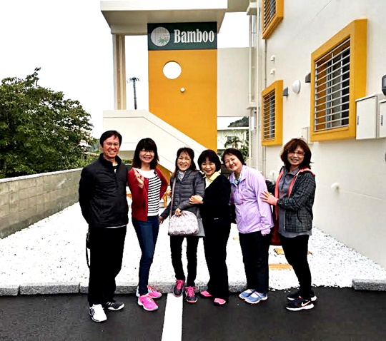 bamboo3