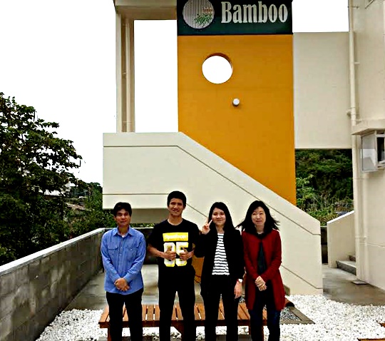 bamboo8-2