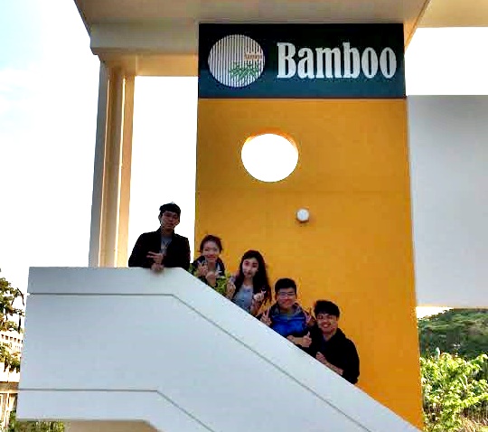 Bamboo-11
