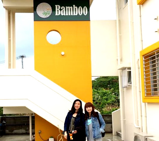 Bamboo-13