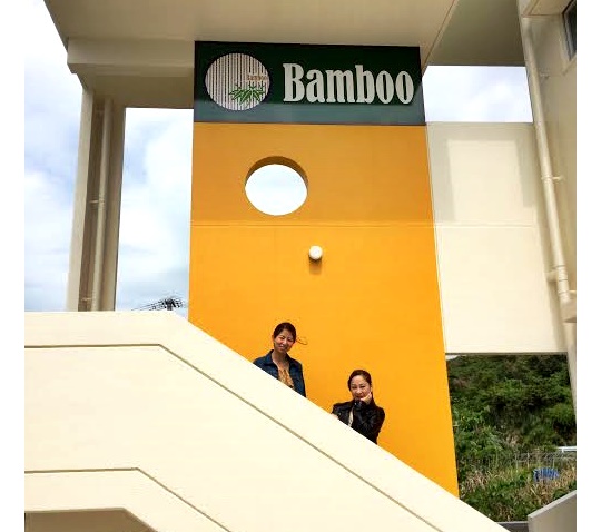 Bamboo12