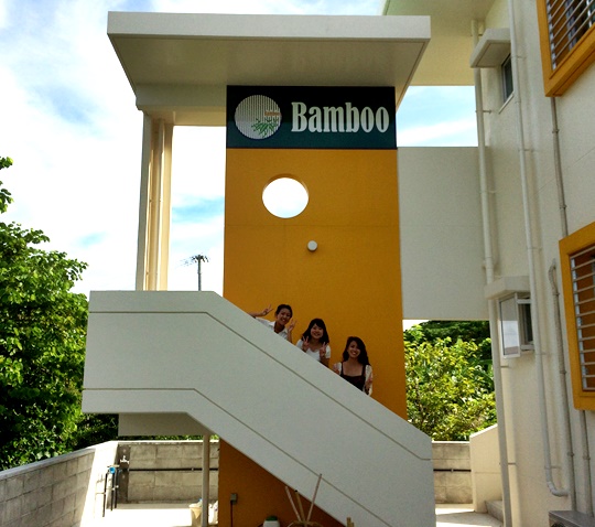 Bamboo-44